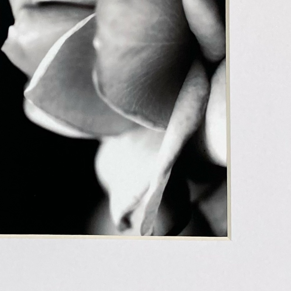 “WITHOUT YOU” ~ ORIGINAL ART by ~ @lisamichellebeckerphotography - Picture 4 of 14